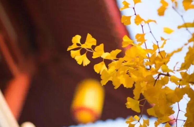 对好朋友的深情寄语