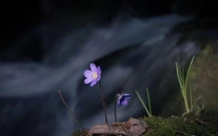 激励自己争气的句子文案