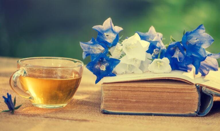 且以优雅度过一生优美句子文案