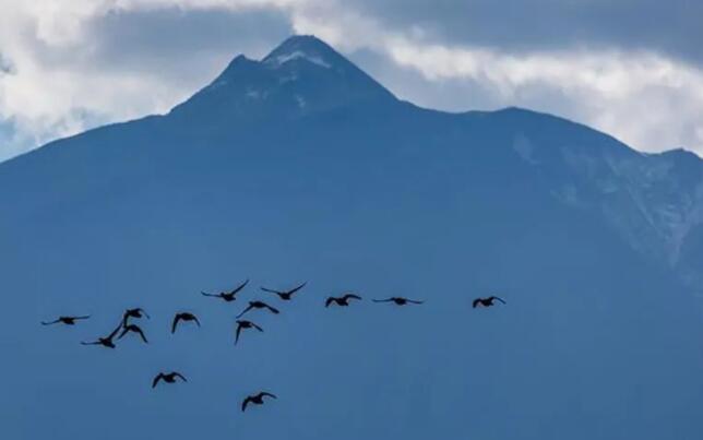 思念一个人的经典诗句文案