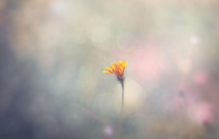 成长的代价的名言