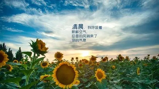 晨起发朋友圈的经典句子文案