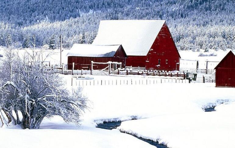 冬天雪景的优美句子文案