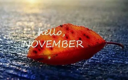 十一月的优美句子文案