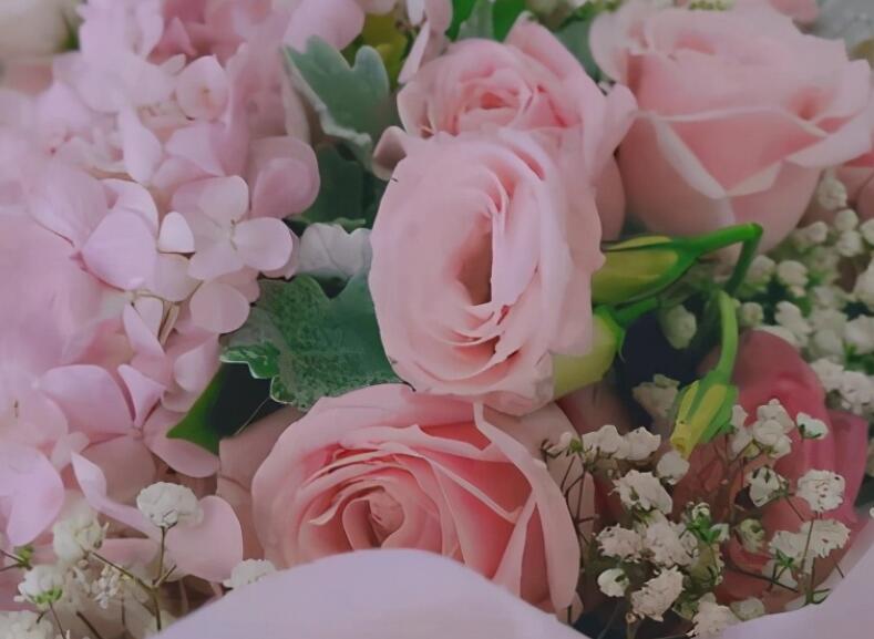 女神节发朋友圈祝福语