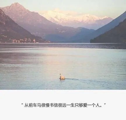 失望透顶的语录文案