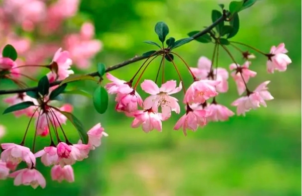 描写天气的句子文案