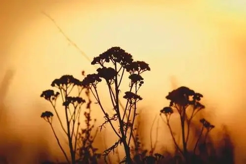 形容人心善变了的句子文案