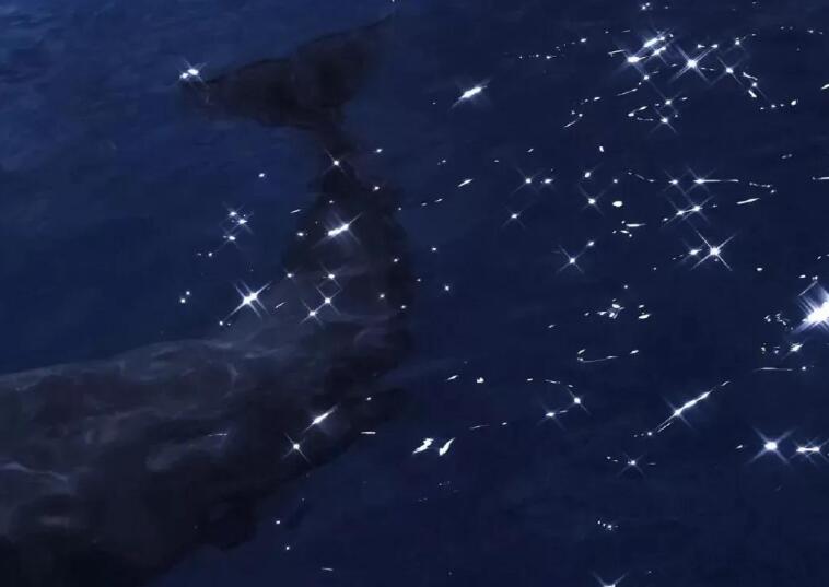 暗恋的句子文案唯美超短句