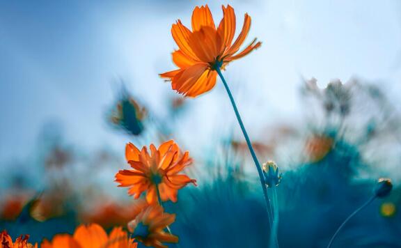 我一直在的经典语录文案