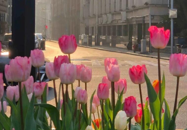 温柔干净的短句