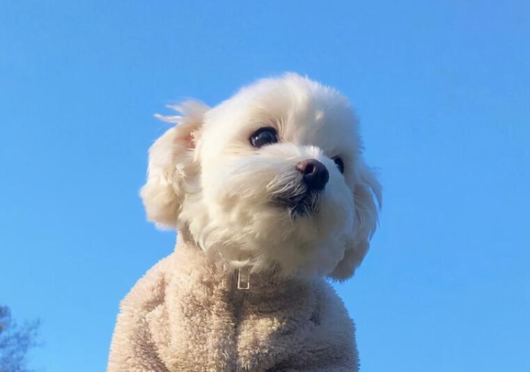 累了晚安发朋友圈说说文案