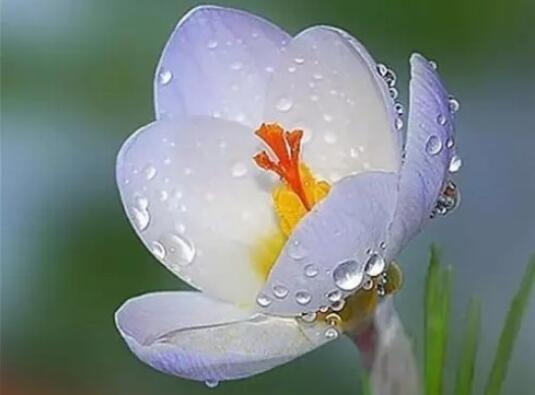 文章名句文案摘抄