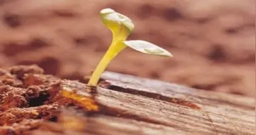 关于励志的名言经典名句文案大全