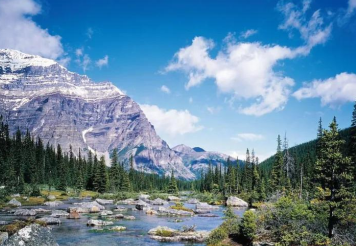 关于拼搏的个性签名