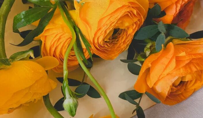 朋友早晨微信问候语