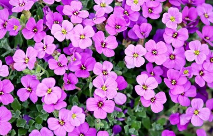 人生旅途感悟的句子文案