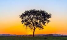 面对生活的文案