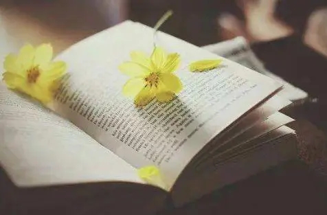 心灵富足的句子文案