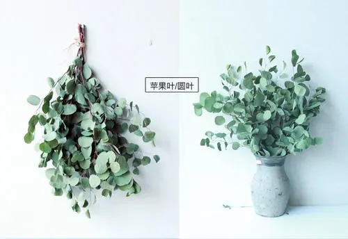 清新森系短句10以内