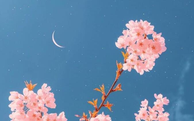 发朋友圈精美短句