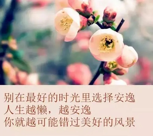 心灵富足的美好句子文案