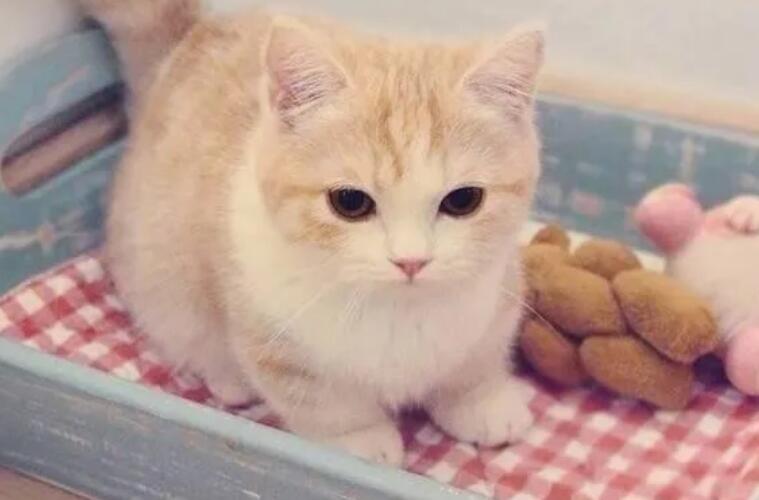 开心一笑的幽默说说文案