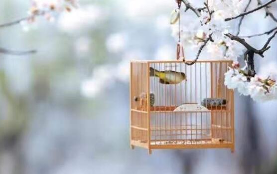 关于寺庙的诗词禅意