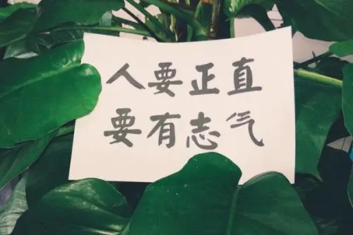 表达女人有志气有骨气的诗句文案