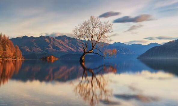 期待下一次的重逢的诗句文案