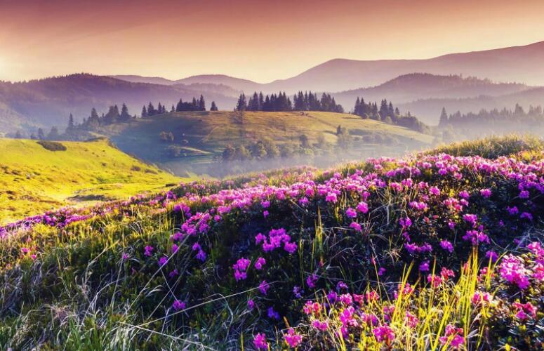 外国小孩早上好问候图片