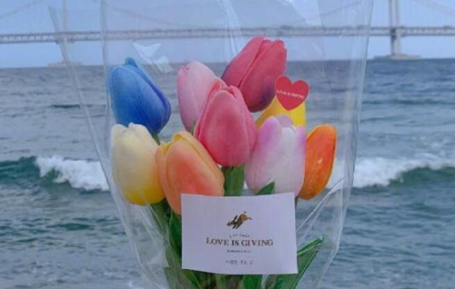 节日快乐的说说的句子文案