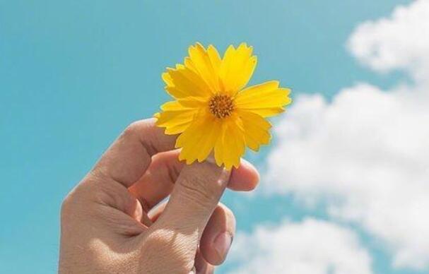 下午好正能量短句