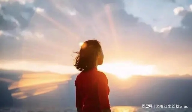 关于感情的精辟句子文案