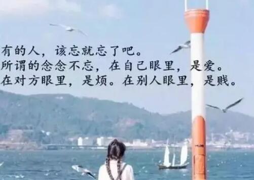 扎心语录文案长句500字