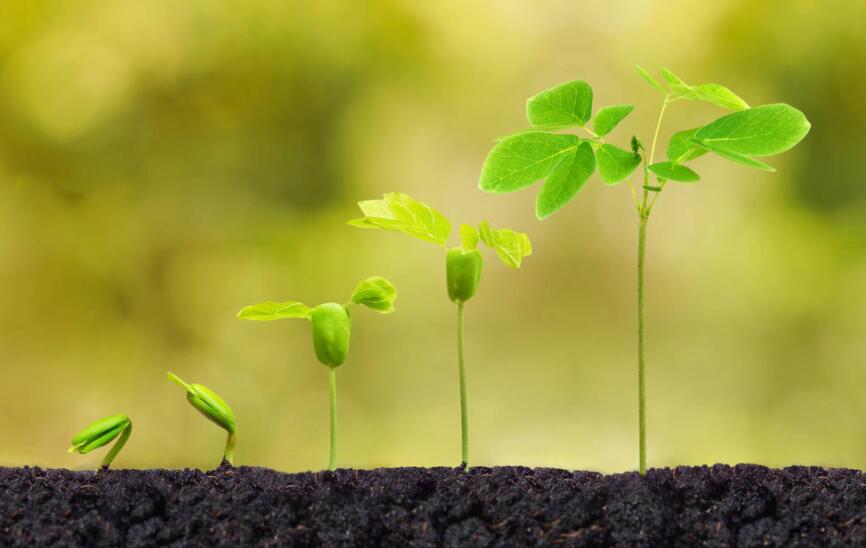 伤心的句子文案唯美短句