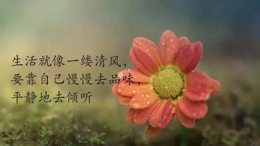 心情说说文案感悟生活