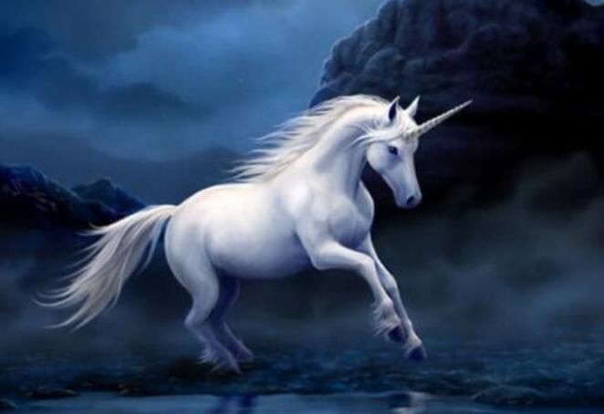 独角兽小清新句子文案