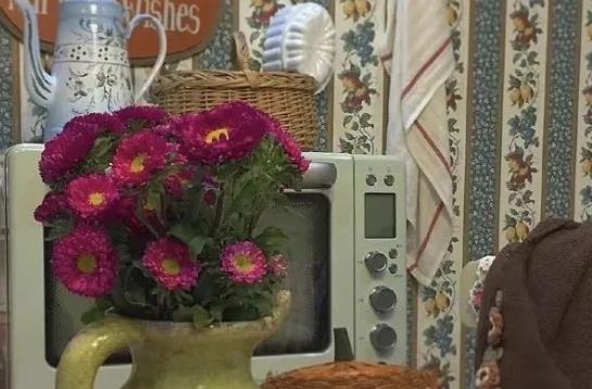 爱与温柔的文案