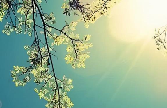 写早安的优美句子文案