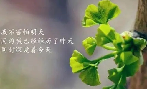 远离家乡出门奋斗的励志句子文案