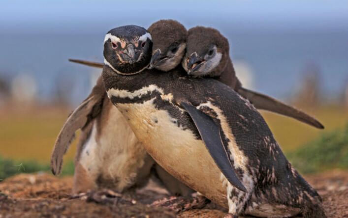 珍惜亲情的句子文案简短的