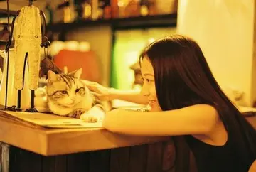 经典个性句子文案