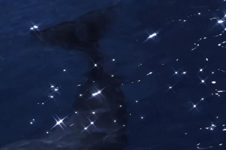 节日没人送礼物的说说文案