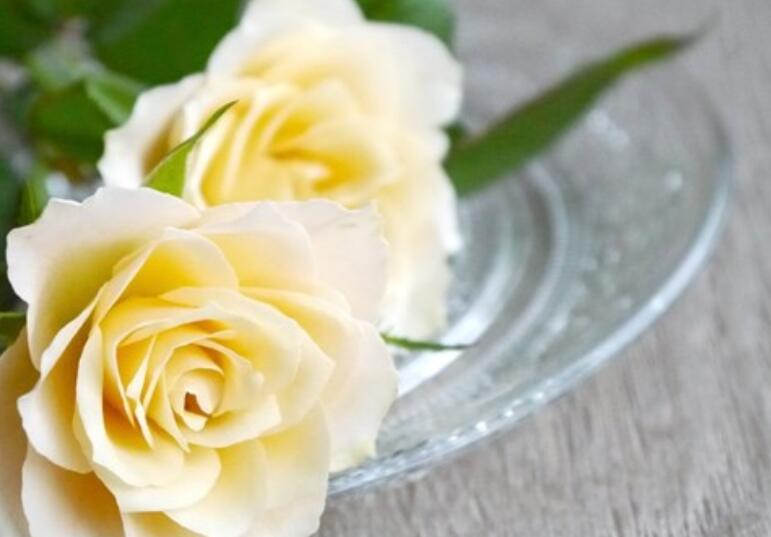 现实很无奈的句子文案