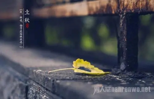 关于立秋的优美句子文案简单