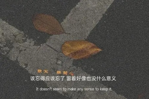 隐晦讽刺爱情的句子文案