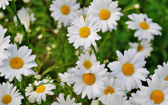 早晨问候正能量励志语