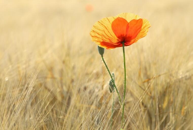 发朋友圈励志的话语