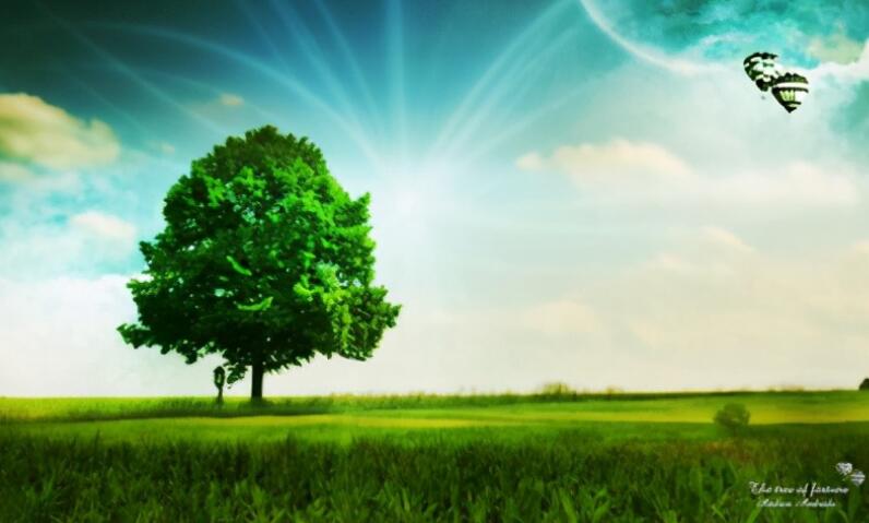 写风景的优美句子文案摘抄